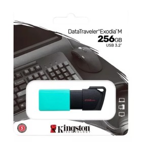 Pendrive Kingston 256gb